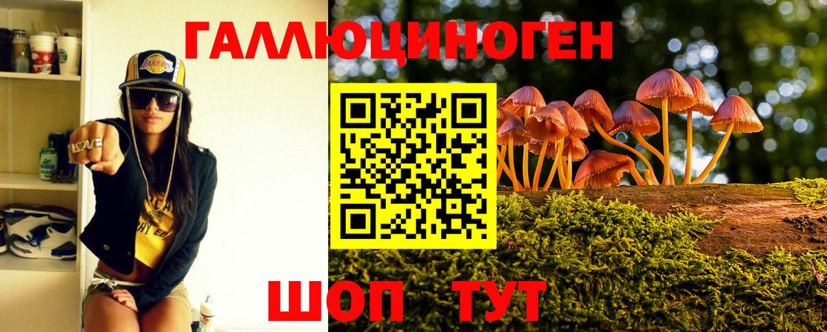 купить наркоту  Галлюциногенные грибы мицелий  Вход с VPN  Кузнецк  Псилоцибиновые грибы Magic Shrooms 